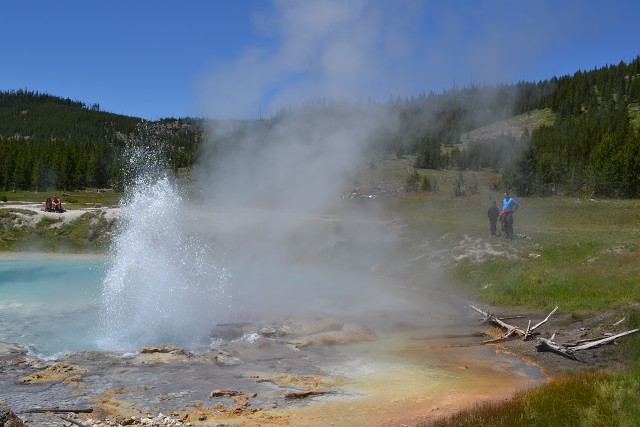 DSC 3204