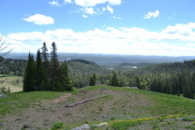 DSC 3360