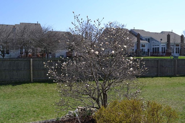 DSC 0254