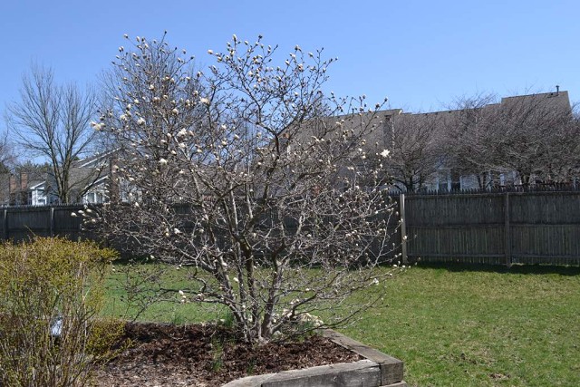 DSC 0255