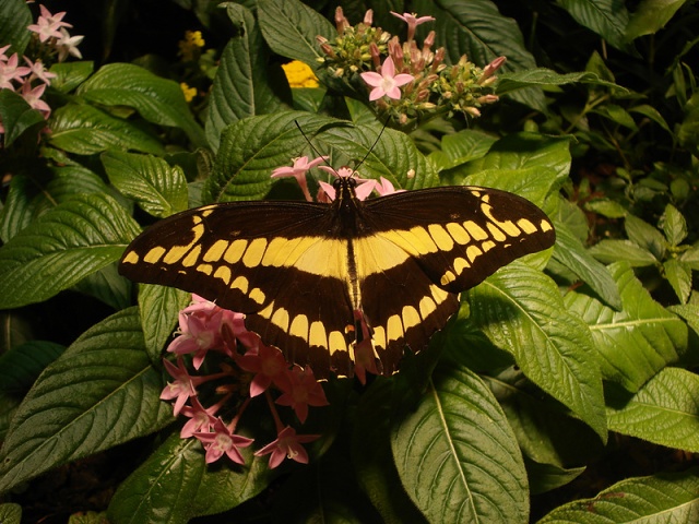 DSC05841
