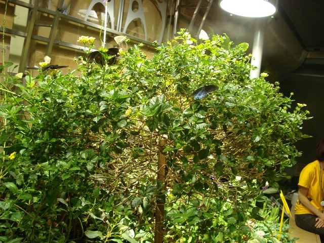 DSC05849