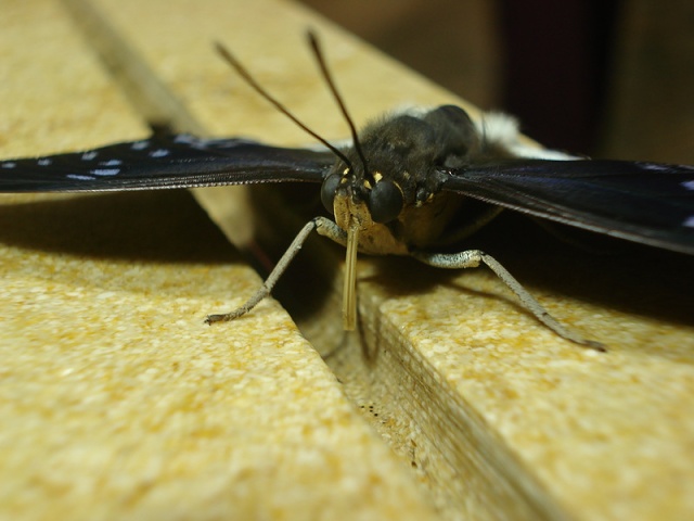 DSC05854
