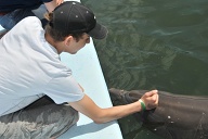 Dolphin Research Center • Marathon, FL.