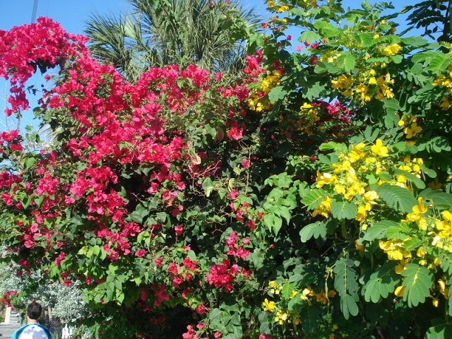 DSC05358