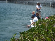 Dolphin Research Center • Marathon, FL.