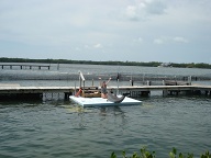 Dolphin Research Center • Marathon, FL.