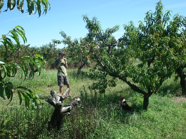 DSC04571