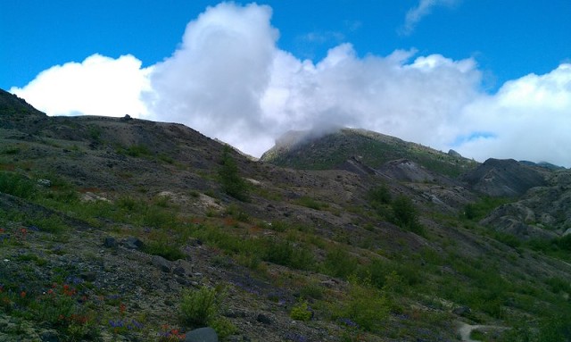 Gifford Pinchot N.F., WA