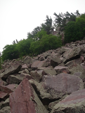 DSC04475
