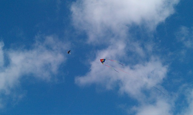 IMAG0036