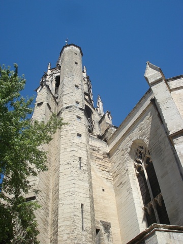Avignon • Palais des Papes