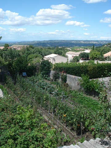 Provence • Gigondas