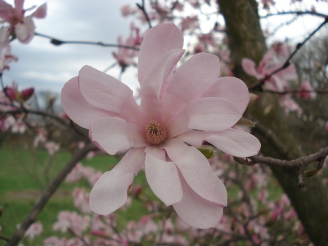 DSC03490