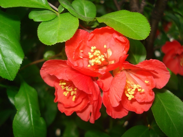 DSC03571