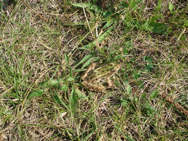DSC02886