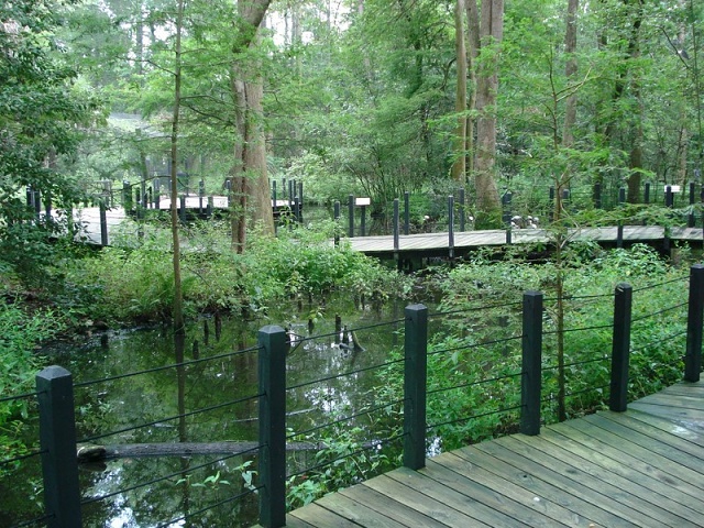 Aviary
