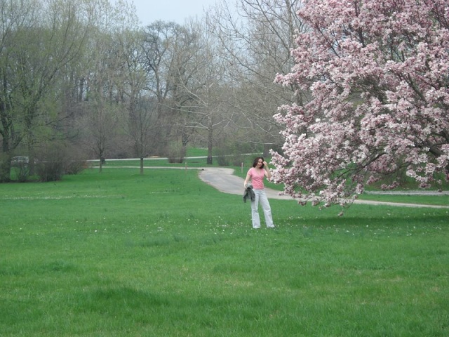 DSC01010