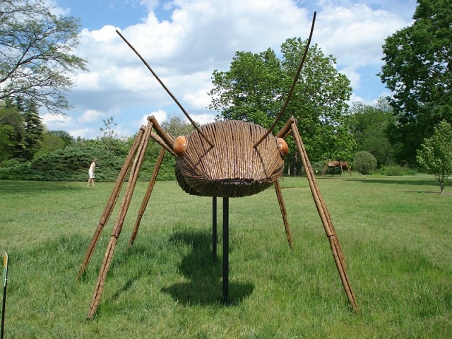 Муравей