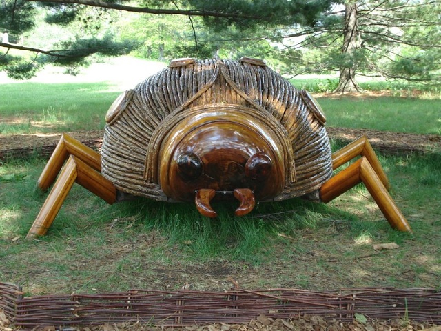 Божья коровка