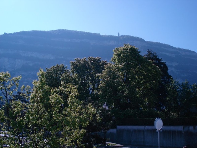DSC00353